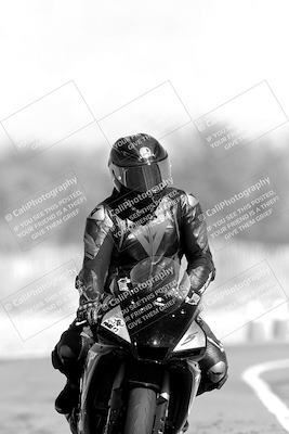 media/Nov-06-2023-Moto Forza (Mon) [[ce023d0744]]/4-Beginner Group/Session 3 (Track Exit)/
